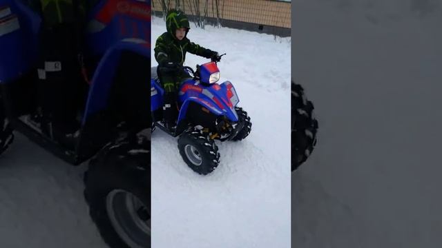 Линхай ямаха Polar fox 150
