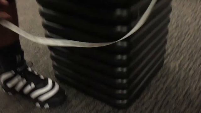55 1/2 Inch VERTICAL LEAP