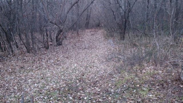 Петарда на основе магния и перманганата калия