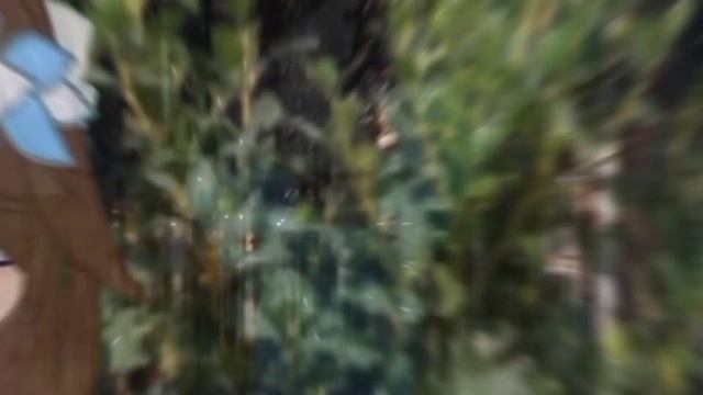 ||14 лет||Клип||Gacha Club||Для @Gentech Animations