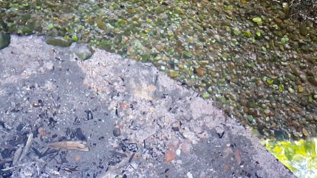 Заповедник Тюльмень