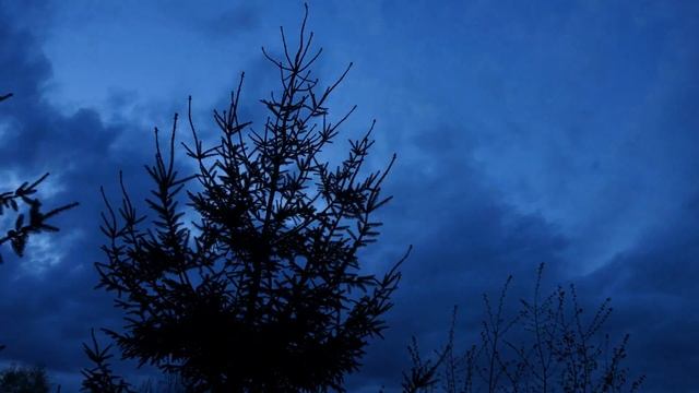 Sony NEX 5N - Timelapse