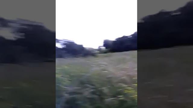 9e51cee30cc756d28489d4fd7f7552f3