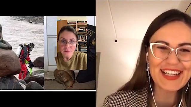 Тайны Русалочки в Копенгагене. Как персонаж сказки Андерсена стал символом Копенгагена?