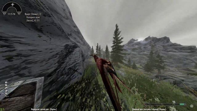 Скайрим под кислотой