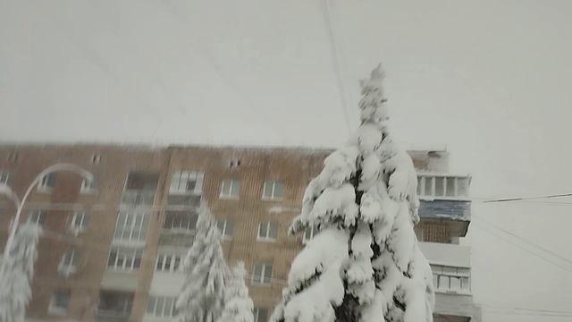 599d423663ff583ec24a9e3b3a68ccc0