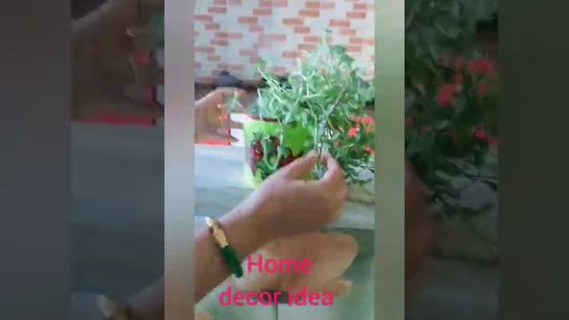 Decorative Pot Design Idea Using Waste Paint Containers