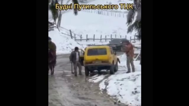 Тцкашников давят нивой и гоняют топорами