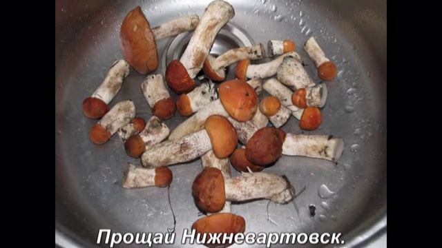 4425e07105c152b22b40be1de29278dc