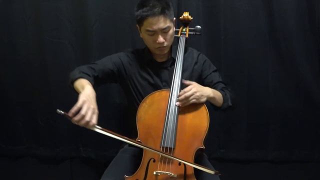 Bay Fine Strings Montagnana Model Cello In 7/8