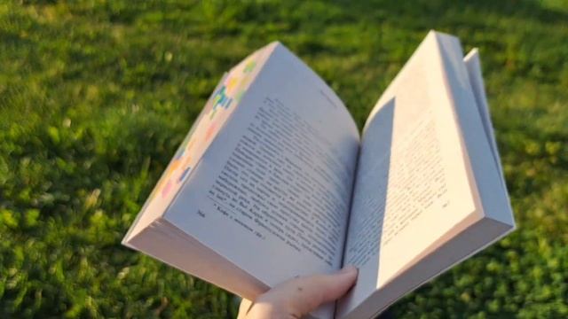 КНИЖНЫЕ ВЫХОДНЫЕ ??  Отель Артур Хейли 