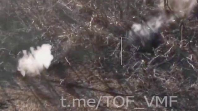 B23f49bbaea9eaeb63aedb41f24ede2c