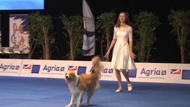Dog Dancing World Championship 2022 Anastasiia Beaumont and border collie Yuki