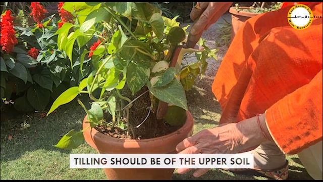 Eac585cf88b8cd519f8d99a4dab99873