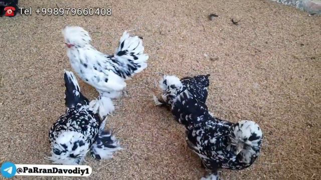 20 сентября 2021 г.