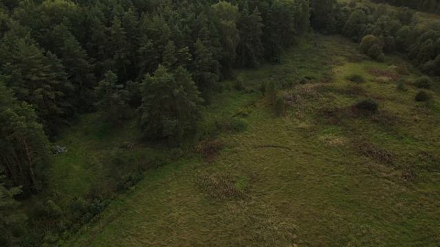 4k Природа Лохин остров Красногорский район / 4k Nature Lokhin Island Krasnogorsk District