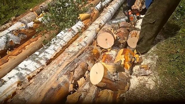 Заготовка дров на зиму 31 июля 2021 г.