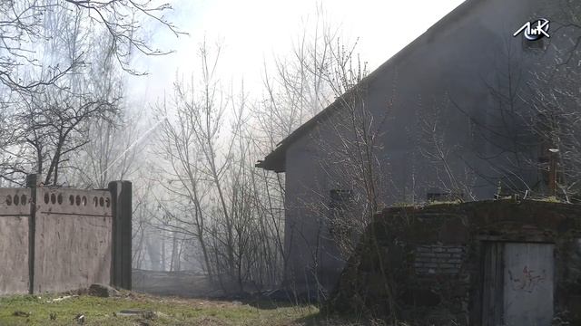 Пожары в Луге