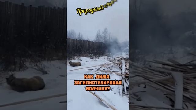 018e1b992a01e751f5583083a8b05ccf