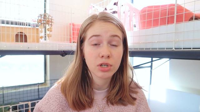 5 TIPS FOR REDUCING GUINEA PIG SMELL