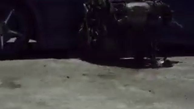 Fujifilm FinePix S1600 320 Video Prueba / Test Video