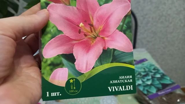 Многолетние цветы, обзор покупок.