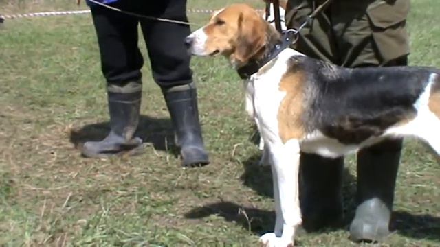 E81c6b449767fc8419342de595135fcc