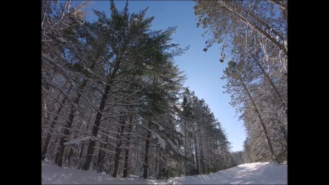 Зима в Канаде  Квебек.