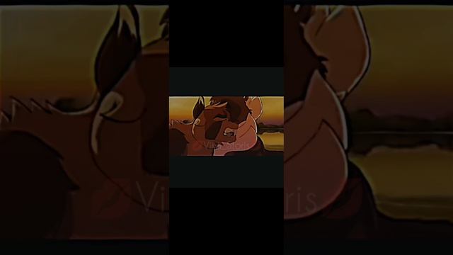 Коты_Воители