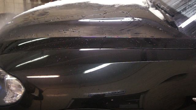 Willson Body Glass Guard  Car-group.eu