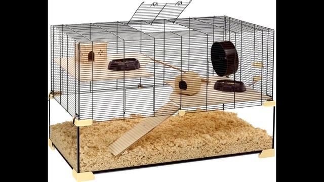 Кот СОЖРАЛ хомяка! / Я Виновата... / Грустная история / Alisa Easy Pets