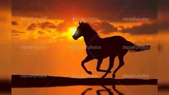 905e0e3f4c5fcf93430008c75c8479b0