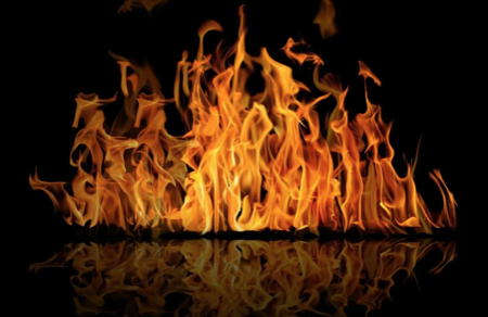 Южный сектор: удача и признание