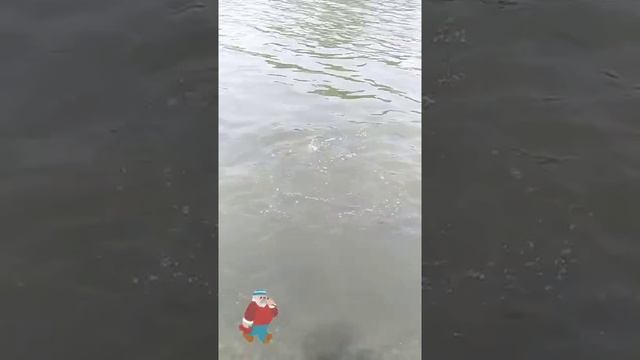 ? Анекдот про рыбаков