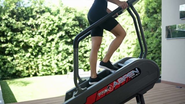 PRO 6 ASPEN STAIRMILL STEPPER