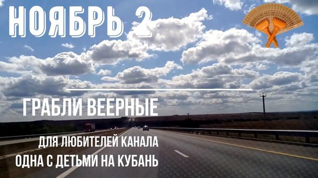 Грабли веерные.Одна с детьми на Кубань.Ноябрь 2.