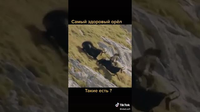 70a4ba56ecff6e545c2c414ac8b7bbfe