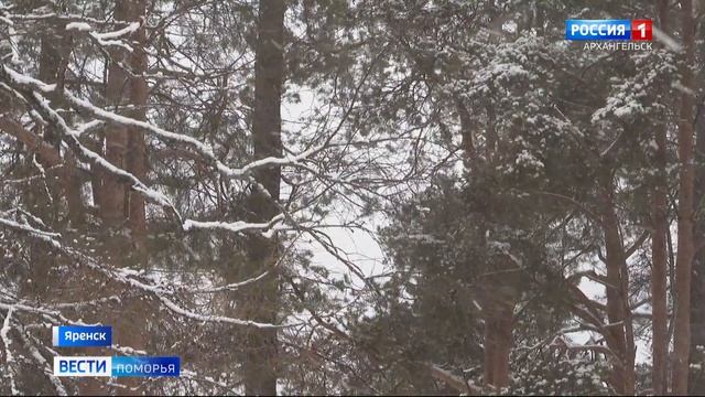 Главные проводы зимы состоялся в Яренске — в резиденции Матушки Зимы