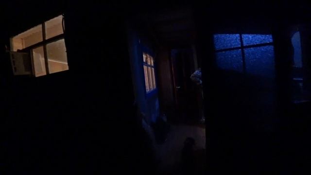 Рыболовный Орел