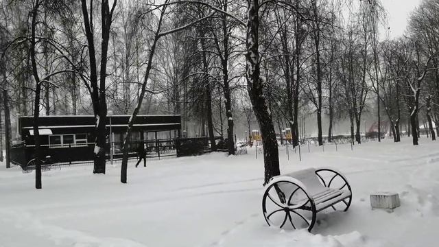 Сильный февральский снегопад 2021 в Гомеле