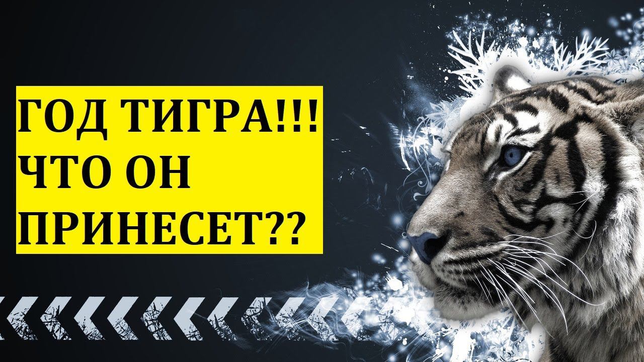 ГОД ТИГРА!!! ЧТО ОН ПРИНЕСЕТ?? /НОВОСТИ/ПОЛИТИКА/ЭКОНОМИКА