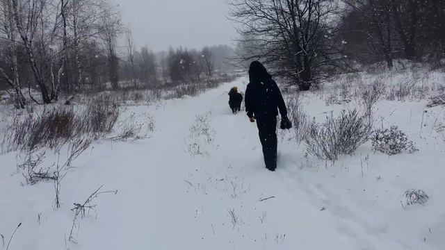 Монголдог Идтэн  и Монголдог Селенгэ - на прогулке в окрестностях Киева. Украина.