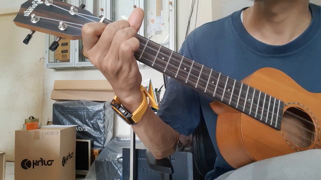 Review Tes Sound Ukulele Genta Ut415