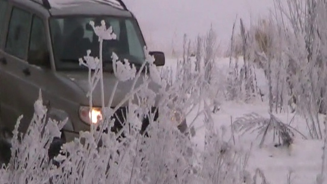 Staritsa-lisi4ka-kamenolomnya-1