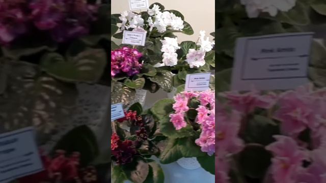 1d2856b40072c82d9964b3073de551ee