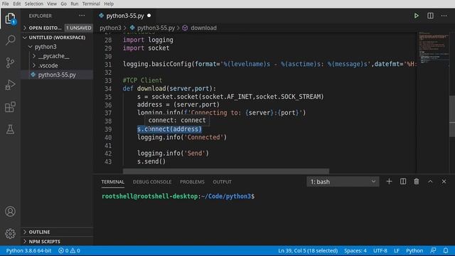 Episode 55 - Basic TCP Client