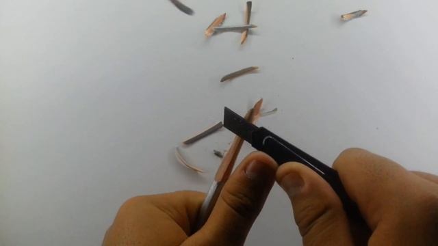 2f961a16396216ad5fa4d5a1082dced5