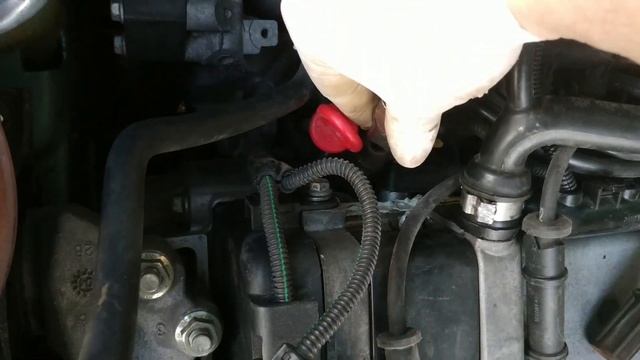 Fiat: эстетика и динамика