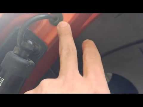 Женя Богданов