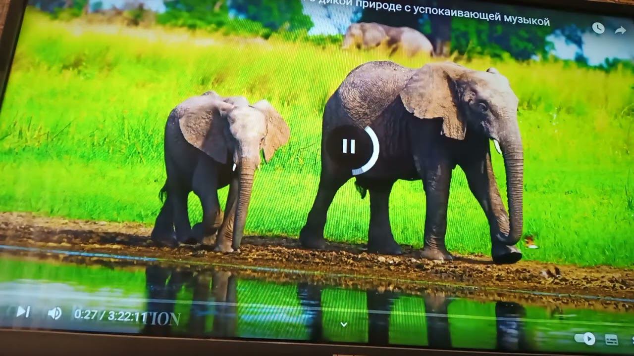 Умер БП, АМ2 сокет еще жив?